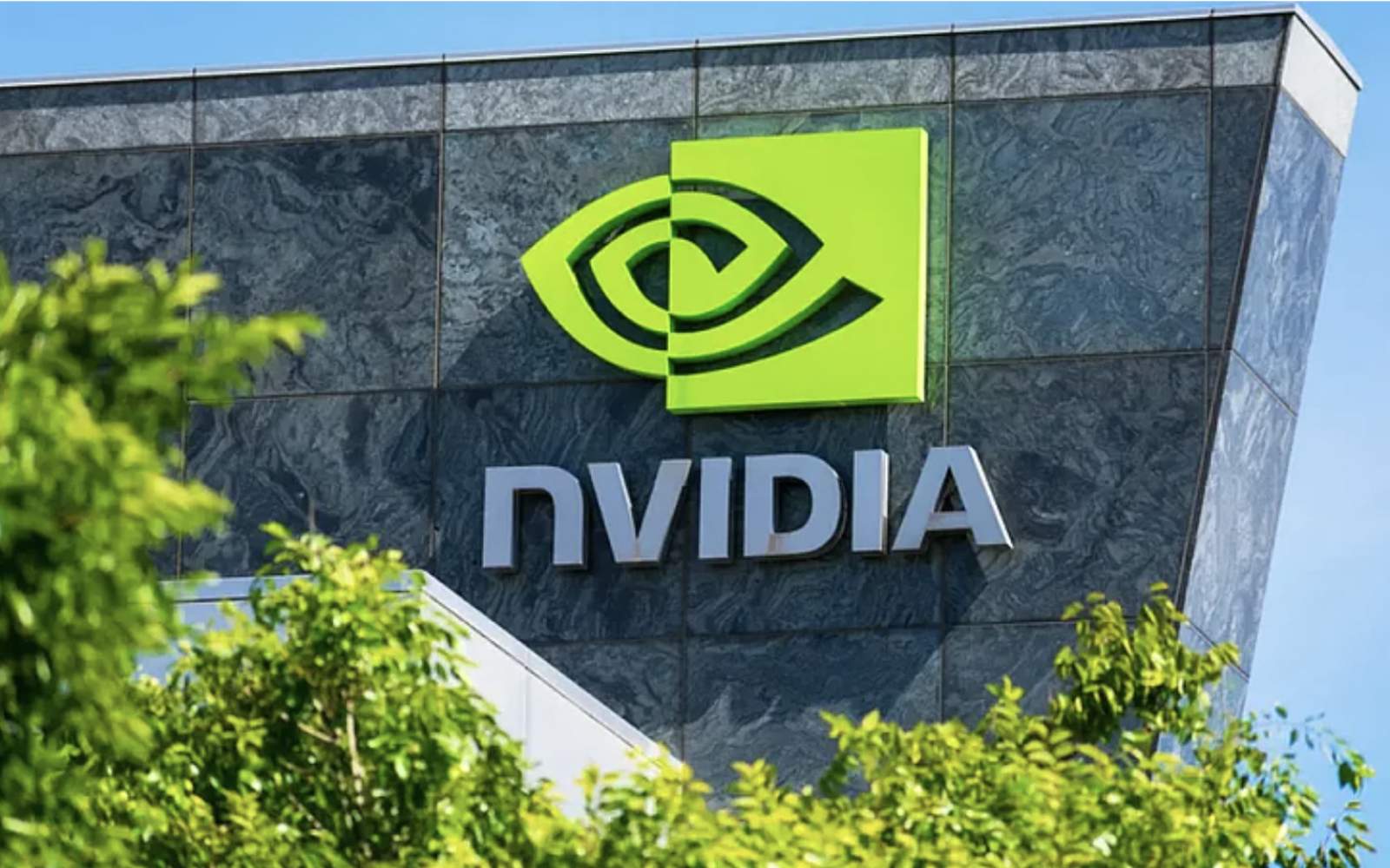 Nvidia's strategy is more than business